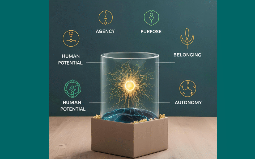 From Control to Connection: Building Human-Centred Leadership in Higher Education