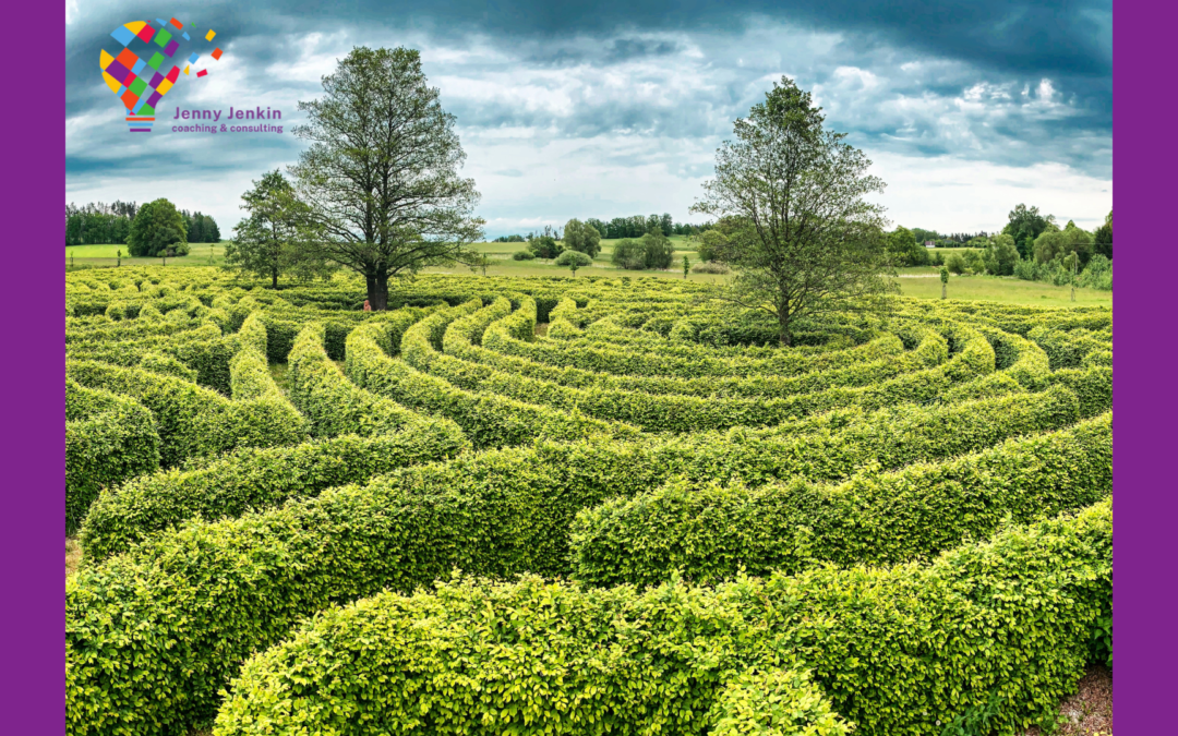 The Moral Maze