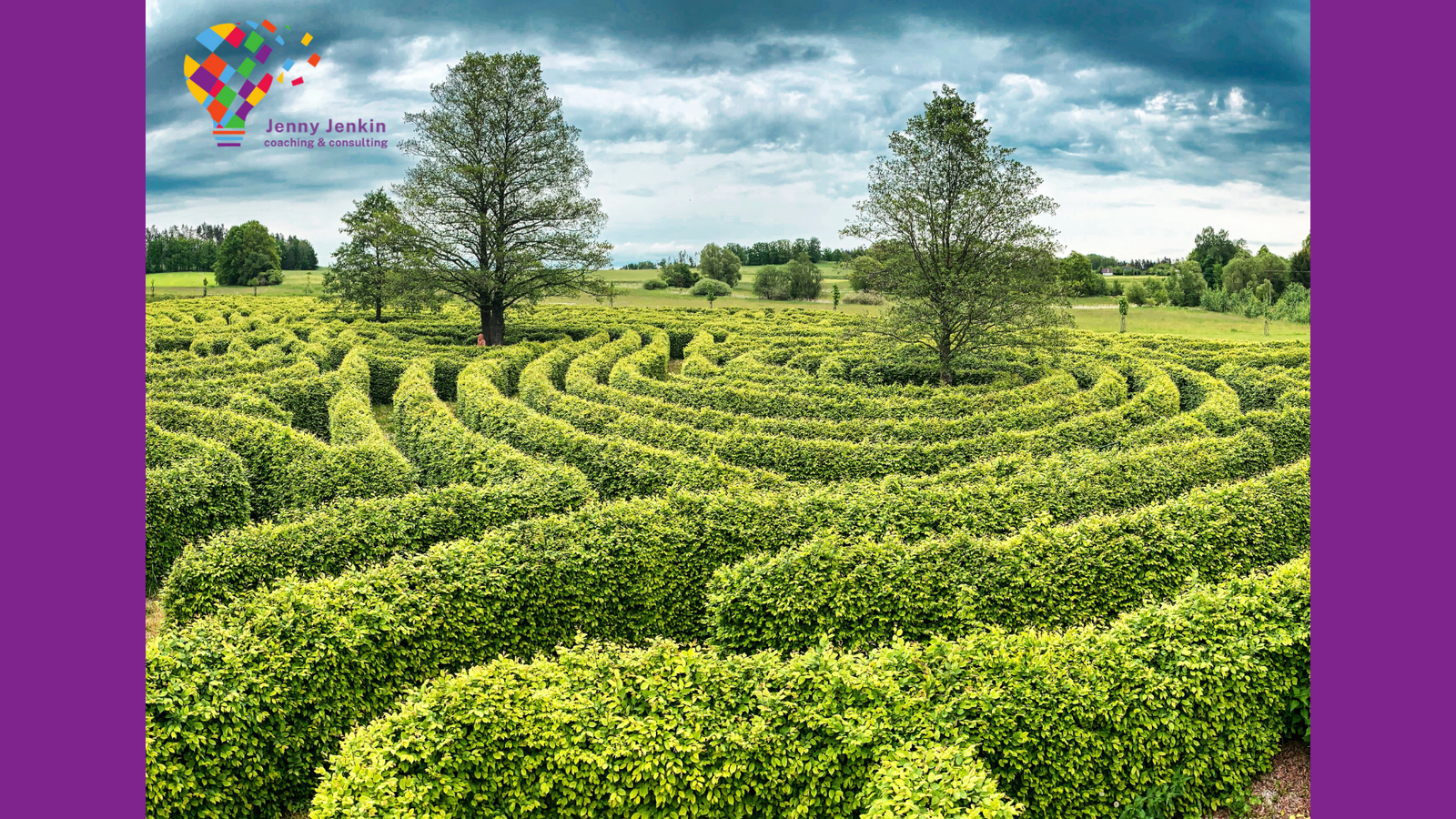 maze
